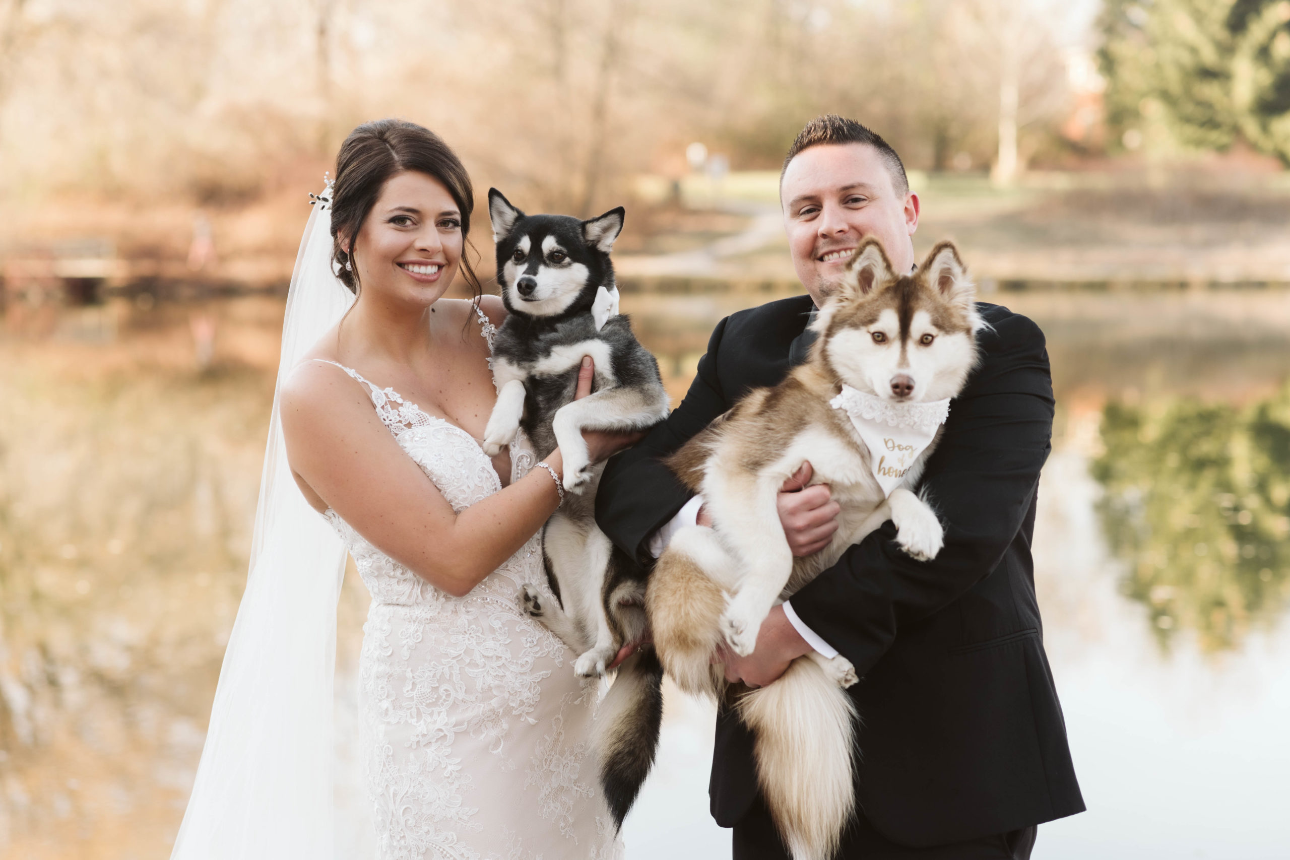 Bride and Groom with dogs